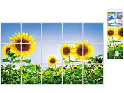 Пленка-стикер защитная, 75х45 см, TL-209, Perfecto Linea 11-120900