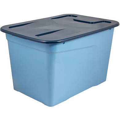 Коробка ROOMBOX INTERIOR 50л Полимербыт 4373402