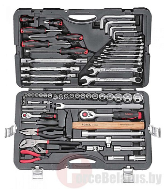 Набор инструментов 65 пр. 1/4''&1/2'' 12-гр. Force 4653-9