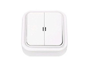 Выключатель 2 клав. (открытый, 10А) со световой индикацией, белый, Пралеска, Bylectrica А5 10-215