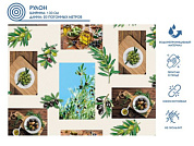 Клеенка столовая, нетканая основа с ПВХ покр., "DECO", 1 м.пог., отгрузка кратно 20 м PERFECTO LINEA 11-165104