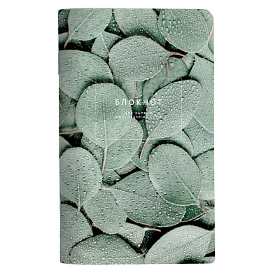 Блокнот для записи иностранных слов "Botanica эвкалипт популус", A5, 48 листов, зеленый