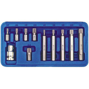 Набор бит специальных 10 мм SPLINE M5-M12 11 пр. Vorel 66770