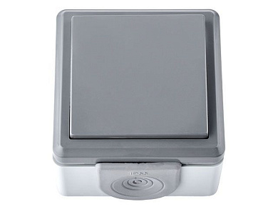 Выключатель 1 клав., открытый, 10А, струезащ., серый, Пралеска Аква, IP55 пылеструезащищенный, Bylectrica А110-2131(03)