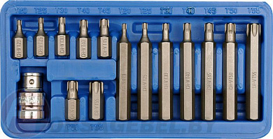 Набор бит 10 мм Torxt20-t55 15 пр. Vorel 66580