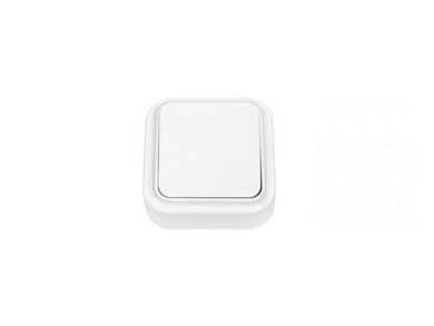 Выключатель 1 клав. (открытый, 6А) проходной белый, Пралеска, Bylectrica А610-147