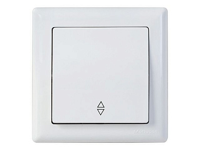 Выключатель проходной 1-клав., скрытый, винт. зажим, белый, DARIA, 10 A, 250 V, IP 20, Mutlusan 21204030201