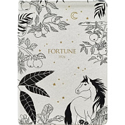 Ежедневник датированный "Fortune" на 2026 год, А5, белый