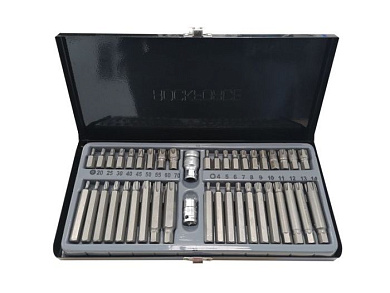 Набор бит TorxTR, Ribe 10 мм с битодержателем 42 пр. RockForce RF-4421C