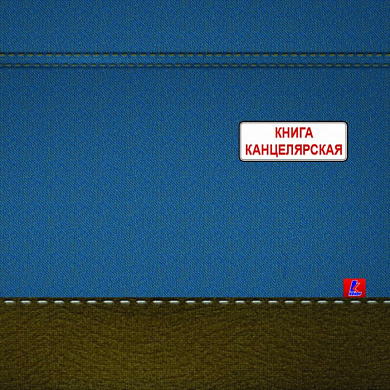Книга канцелярская "Колор", A4, 100 листов, линейка, синий, коричневый