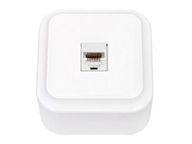 Розетка 1-ая компьютерная (открытая) белая, Пралеска, Bylectrica РК18-004