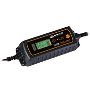 Зарядное устройство Daewoo Power DW450