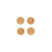 Заглушка пластик к конфирматам черешня (17) (упак.-1тыс.шт.) PL 12472