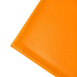 Папка-уголок "Inter-folia", А4, 115 мк, оранжевый