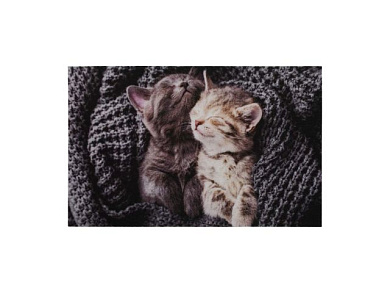 Коврик влаговпитывающий "Samba" 50*80 см. "Милота", котята, "VORTEX" (ВОРТЕКС)