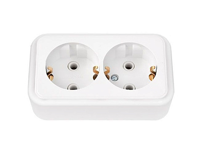 Розетка 2-ая (открытая, с/з) белая, Пралеска, (без монтажной панели) Bylectrica РА16-250