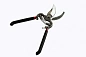 Секатор садовый с фиксацией 200 мм WMC TOOLS WMC-TG1301021
