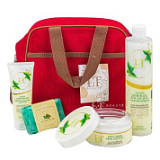 Набор Алоэ и Зеленый чай, термосумка LT-СB5, гель для душа, крем для тела, крем бальзам для рук, мыло мята и чайное дерево La and Te beaute LT-25Bag